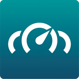 Ikon RealDash